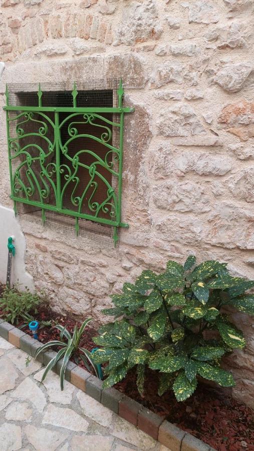 Studio With Garden In Rovinj Buitenkant foto
